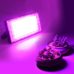 LED-освітлення: Віддзеркалення зеленого майбутнього