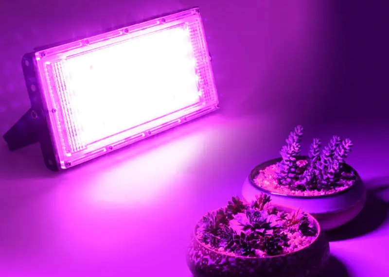 LED-освітлення: Віддзеркалення зеленого майбутнього