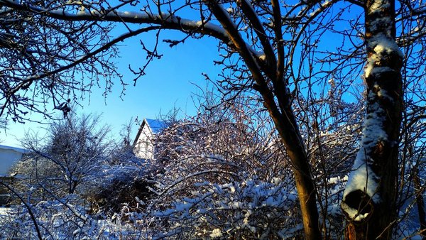 Потепління і мокрий сніг. Які прогнози метеорологів щодо підвищення температури в Києві…