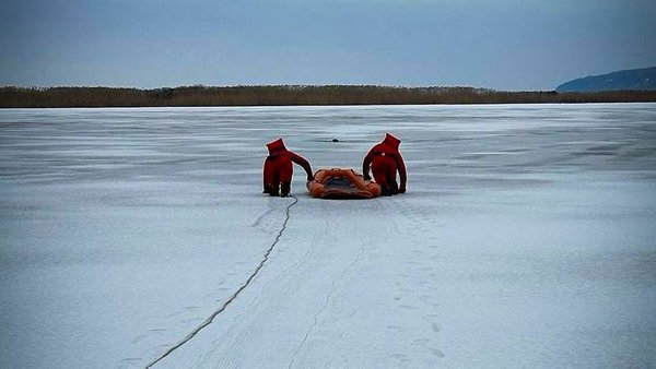 Пса визволено: на Київщині з річки дістали тварину, яка не могла вибратись…