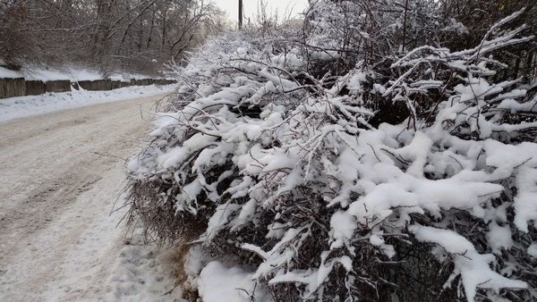 Денний мороз до 3°: прогноз погоди для Києва та регіону від синоптиків.