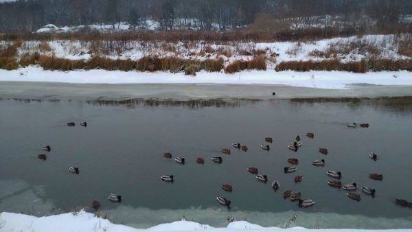 Водні експерти фіксують ріст рівнів води в річках Київської області.