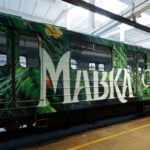 Чарівний потяг за мотивами “Мавки” курсує в київській підземці.