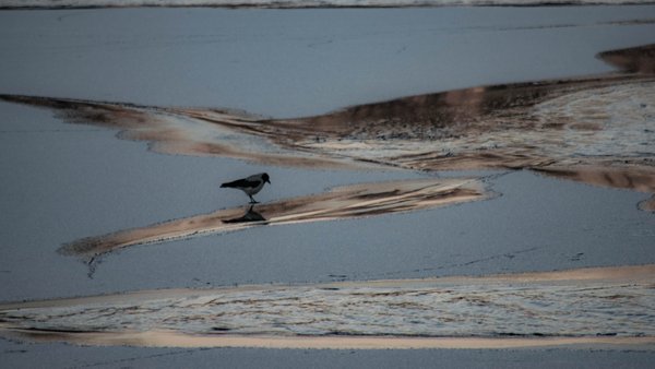 Roads remain slick: Kyiv & region weather for Feb 26.