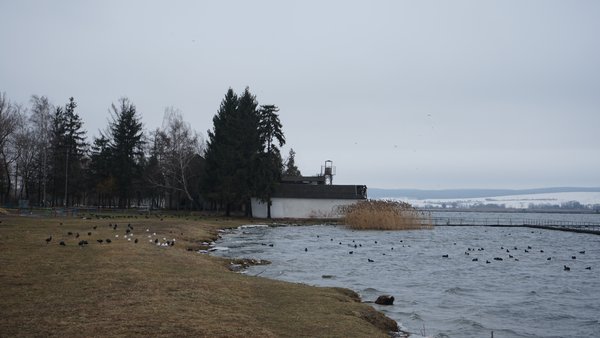 На Київщині: 220 гектарів землі з водоймою знову в муніципальній власності.