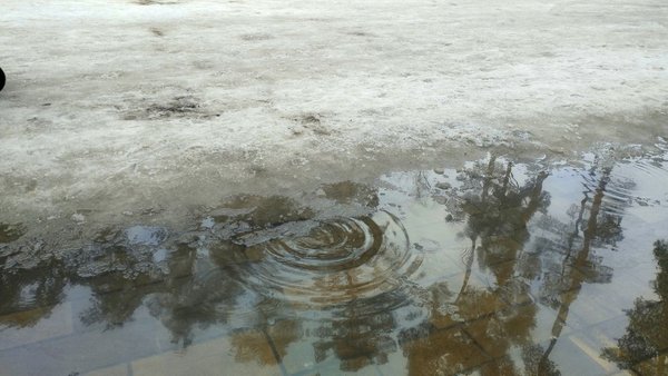 Київ і область: слизько, дощ зі снігом.