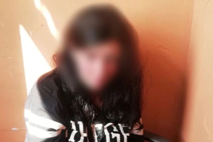 Рік в'язниці за знущання з матері: у Києві суд виніс вирок домашній кривдниці