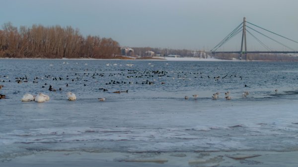 Імла та слизько: прогноз погоди у Києві та регіоні на 13 лютого