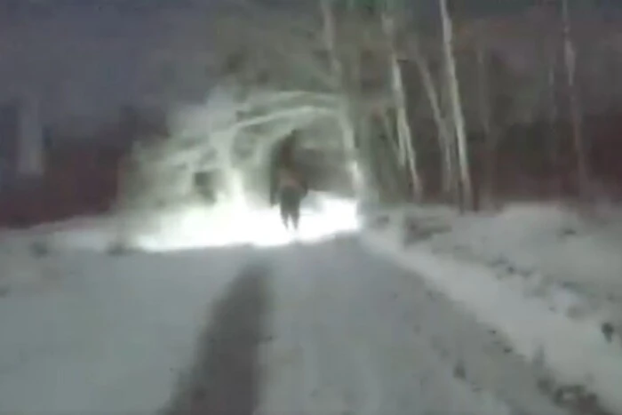 Ледь міг розмовляти від холоду. У Києві патрульні врятували бігуна, який заблукав у парку