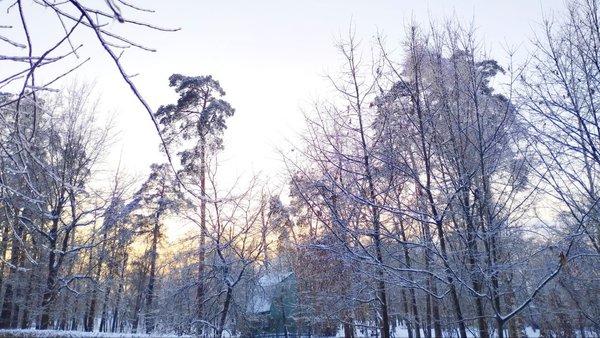 Київщина: Метеорологи відзначили дебютний весняний максимум і підсумували лютневу погоду в столиці.