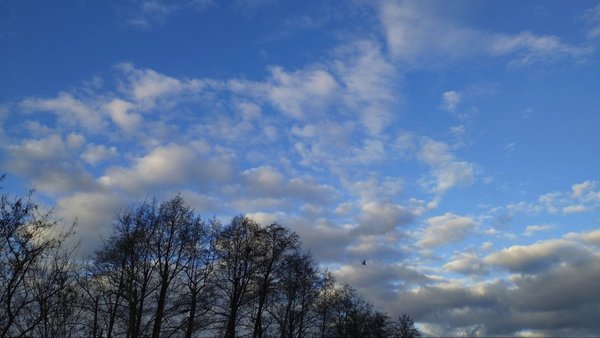 Головна 17 Перемінна хмарність, до 12° тепла: прогноз погоди в Києві та області