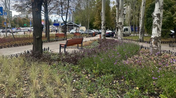 "Київзеленбуд" профінансує відновлення парку в Оболонському районі на 65 мільйонів гривень 6