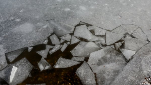 У київській затоці врятовано жінку з дитиною на кризі.