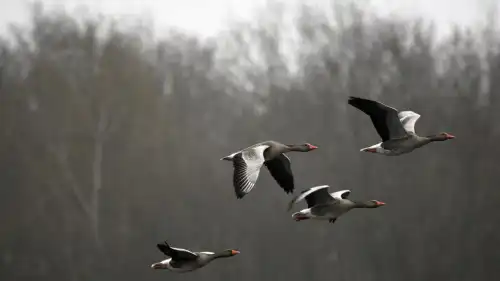 13 березня 2026 року за оновленим календарем вшановують Никифора, патріарха Константинопольського.