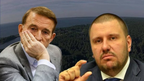 Близько 10 гектарів лісових угідь на Київщині, пов’язаних із Медведчуком та Клименком,&hellip;