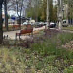 “Київзеленбуд” профінансує оновлення парку на Оболоні вартістю 65 млн грн