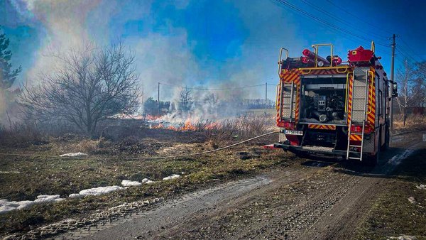 Полум’я ліквідовано: на Київщині палала суха рослинність