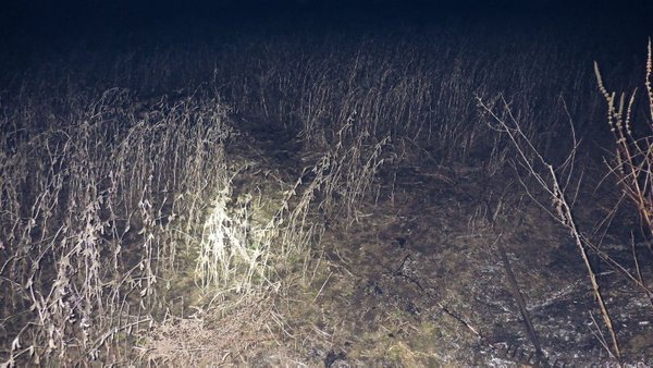 Головна 19 На Київщині: 89-річний чоловік помер, запалюючи траву.