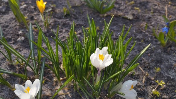 Головна 18 Пом’якшення ночей, похолодання вдень: що очікувати від погоди в Києві та регіоні