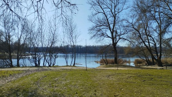 Березневе потепління: прогноз синоптиків для Київської області та Києва