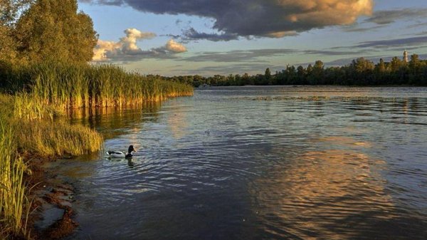 Київська міськрада: позов щодо оголошення заповідниками природних зон.