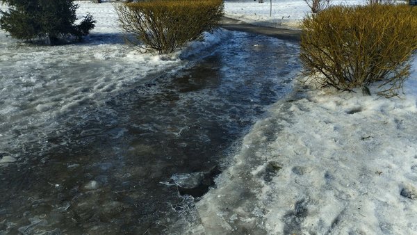 Київ та регіон: нічний холод, денне потепління до 9°.