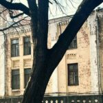 Головна 32 Пимоненків дуб визнано місцевою ботанічною пам’яткою.