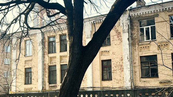 Головна 10 Пимоненків дуб визнано місцевою ботанічною пам’яткою.