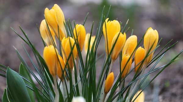 На Київщині та в Києві: на початку квітня прогнозують дощі, місцями температура&hellip;