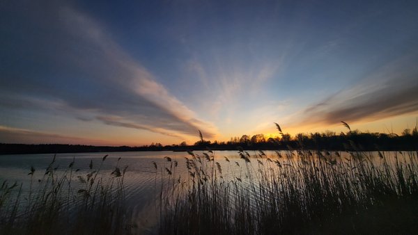 Up to 17°C: Forecast for Kyiv and the region this week