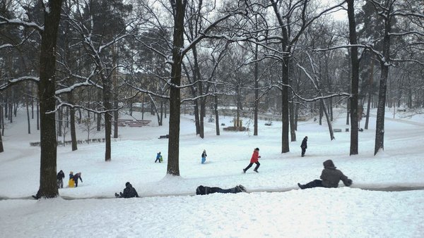 Головна 17 Київська зима виявилася суворішою, ніж зазвичай: метеорологи оприлюднили результати спостережень.