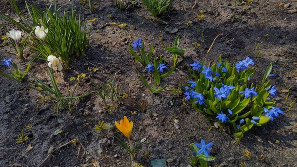 Головна 13 М’яко, але з дощем: який прогноз погоди в Києві та регіоні