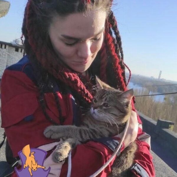 Київські добровольці врятували кота з багатоповерхової вентиляційної шахти.