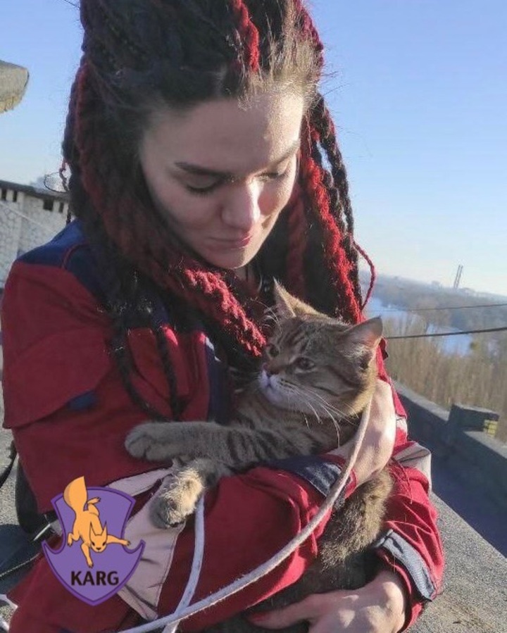 Київські добровольці врятували кота з багатоповерхової вентиляційної шахти. 8 Київські добровольці врятували кота з багатоповерхової вентиляційної шахти. 8