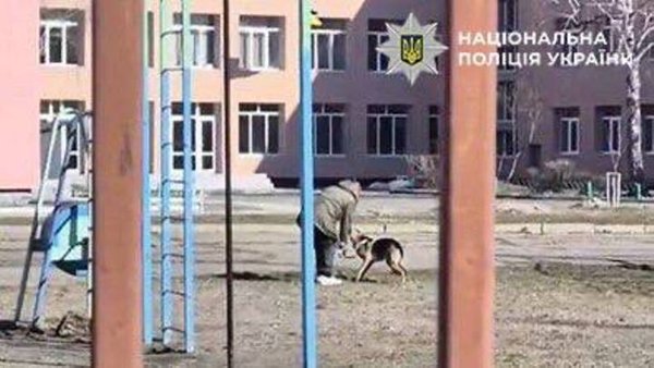 За побиття пса на вулиці киянку покарано. 8