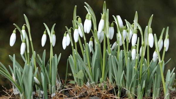 Головна 17 Київ та регіон: прогноз для містян