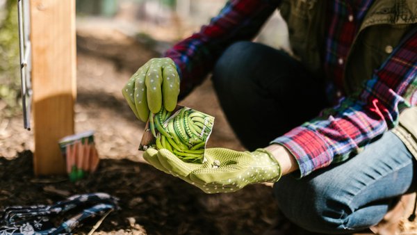 Київ: відібрано чотири російські землевласництва.