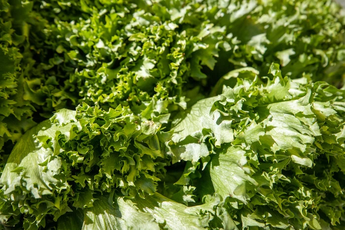 У Києві на вихідних 14-15 березня відбудуться продовольчі ярмарки (адреси)