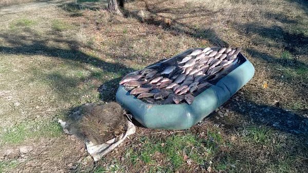 Риболовля на Київщині: квітнева нерестова перерва та санкції.