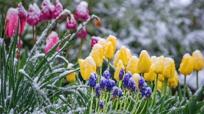 Нічний приморозок та рвучкий вітер: прогноз погоди для Києва та регіону 5