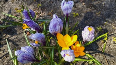 Київ: березень 2026 встановив рекорд посухи, повідомляє ЦГО.