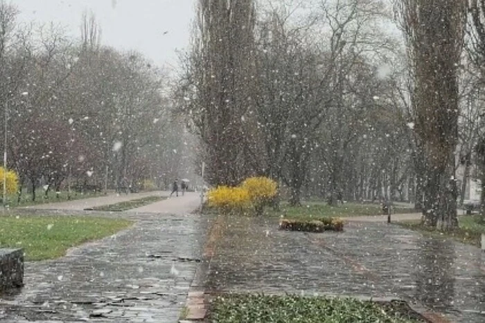 Квітнева аномалія: у Києві, Чернігові та Харкові випав сніг (відео)