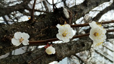 Головна 21 У Києві та регіоні очікуються приморозки найближчими днями, за прогнозами синоптиків. Яка…