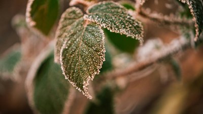 Північноєвропейський холод: прогноз погоди в Києві на тиждень