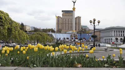 Київ потопає у тюльпанах: огляд локацій 3