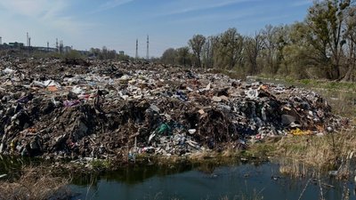 Ешерихії колі в тисячу разів більше за допустиме: бруд на звалищі в&hellip;