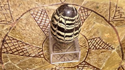 "Софія Київська" виставила стародавню писанку-калатало 12 сторіччя з Київського регіону 17