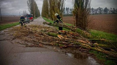Київщина: усунення наслідків шторму, близько 60 тисяч абонентів знеструмлені