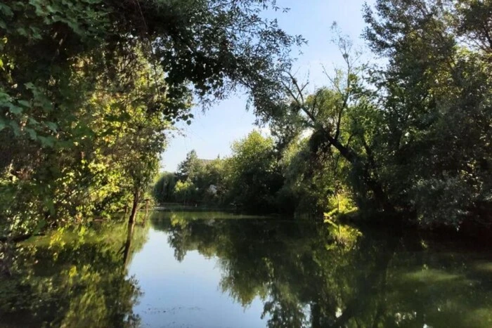 Збереження унікального урочища «Горбачиха». Генпрокуратура пішла в суд проти Кличка