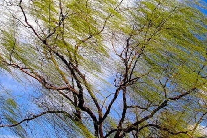 Негода в Києві. Укргідрометцентр попередив про небезпеку